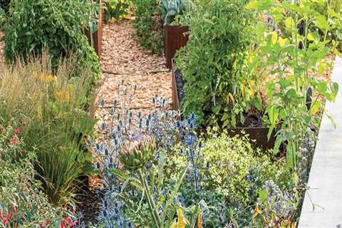 Expert Tips for Gardening in King County, Washington