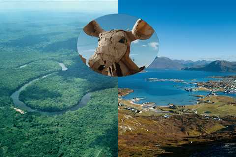 The Herds’ Epic Migration Towards an Arctic Reckoning