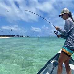 The Importance of Catch and Release on Fishing Charters in Leon County, Florida