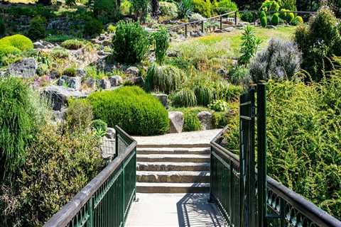 Step Into Serenity: Exploring the Beauty and Benefits of Botanical Gardens