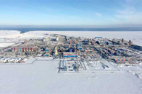 Arctic development as seen by the Russian population