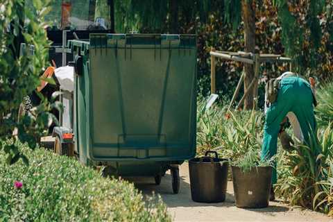 Collaborating With Landscapers And Tree Services In Pembroke Pines For A Carnivorous Plant Paradise