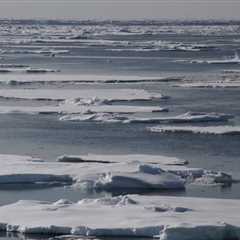 The Polar Retrospective – A route to East Greenland, bowhead whales losing their icy habitat and..