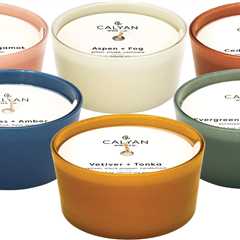 Calyan Wax Co. Soy Candle Giftset - Dignity Series 6 Premium Scents, 100% Soy Wax