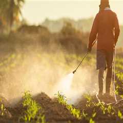 The Impact of Pesticides and Fertilizers on the Environment in Gulfport, MS: An Expert's Perspective