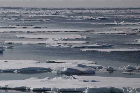 The Polar Retrospective – A route to East Greenland, bowhead whales losing their icy habitat and..