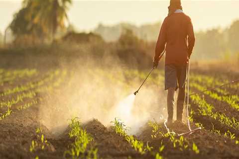 The Impact of Pesticides and Fertilizers on the Environment in Gulfport, MS: An Expert's Perspective