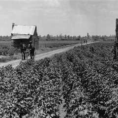 The Rich History of Farming in Southern Mississippi