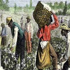 The Work Schedule of Farmers in Southern Mississippi
