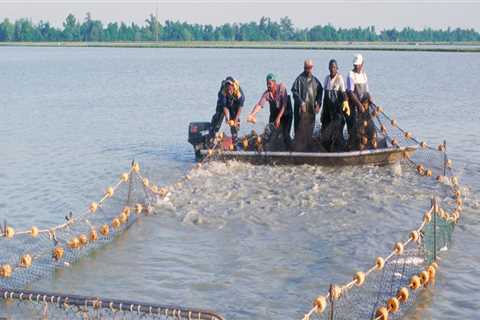 Exploring the Essential Equipment Used on Farms in Southern Mississippi