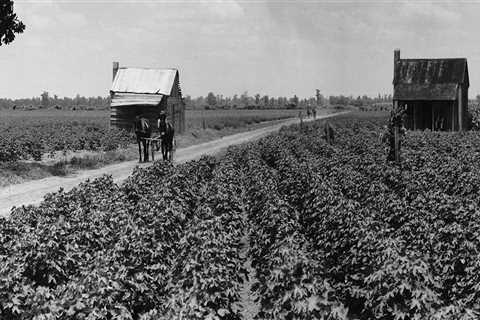 The Rich History of Farming in Southern Mississippi