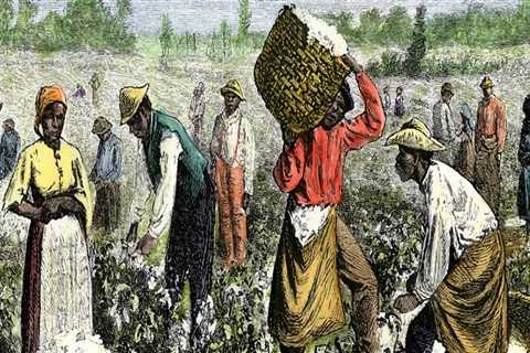 The Work Schedule of Farmers in Southern Mississippi