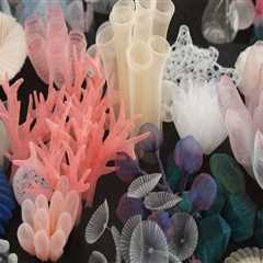 Unleashing Creativity: The Thriving World of Fiber Arts Contests in Clackamas County, Oregon