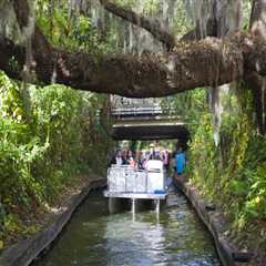 Exploring Native Plants and Community Events in Central Florida