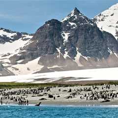 Launch of New South Georgia Entry Permit System Halted
