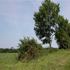 The Thriving Agriculture Industry in Fairfax County, Virginia