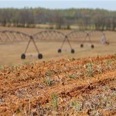 Overcoming the Challenges of Agriculture in Fairfax County, Virginia