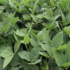 The Growing Agriculture Industry in Fairfax County, Virginia