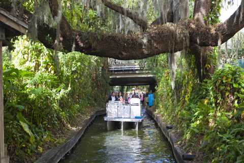 Exploring Native Plants and Community Events in Central Florida