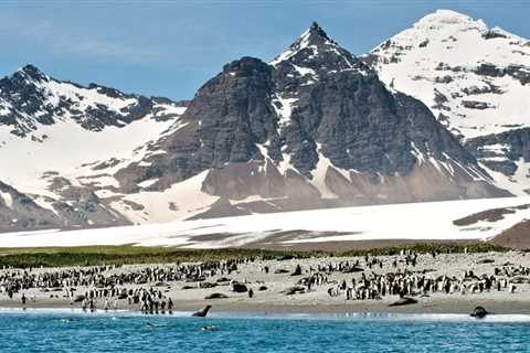 Launch of New South Georgia Entry Permit System Halted