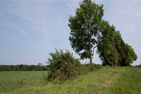 The Thriving Agriculture Industry in Fairfax County, Virginia