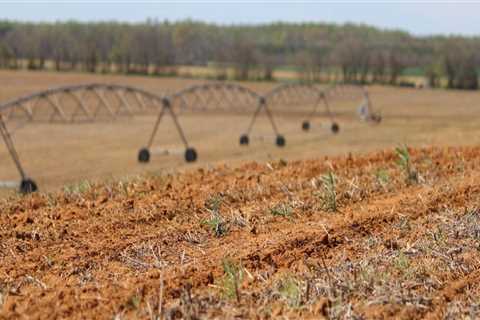 Overcoming the Challenges of Agriculture in Fairfax County, Virginia