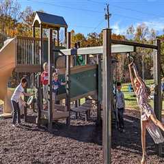 The Overlooked Benefits of Combining Play Structures and Pet Training Environments