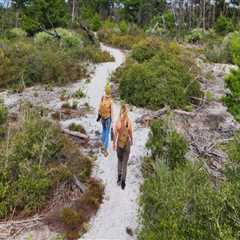 Unlocking the World of Free Workshops in Southeast Florida