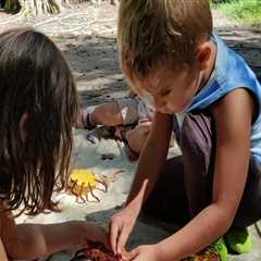 Unlocking the Potential of Workshops in Southeast Florida