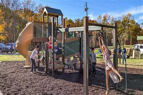 The Overlooked Benefits of Combining Play Structures and Pet Training Environments