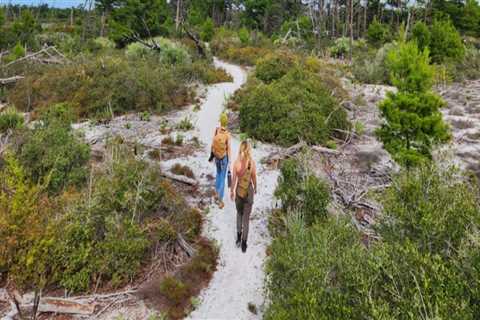 Unlocking the World of Free Workshops in Southeast Florida