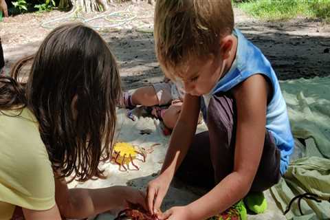 Unlocking the Potential of Workshops in Southeast Florida