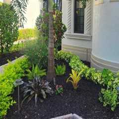 Designing for Wildlife: How Home Remodels Can Support Florida’s Native Ecosystems