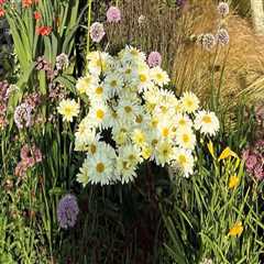 The Role Of Landscapers In Urban Forestry Initiatives In New Hampton