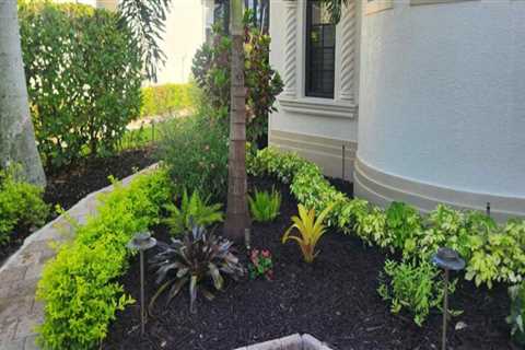 Designing for Wildlife: How Home Remodels Can Support Florida’s Native Ecosystems