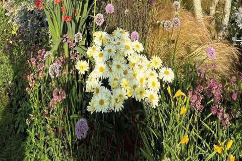 The Role Of Landscapers In Urban Forestry Initiatives In New Hampton