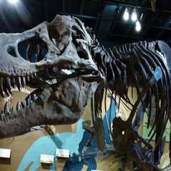 Navigating Ticket Purchases for Multiple Exhibits in Northeast Ohio