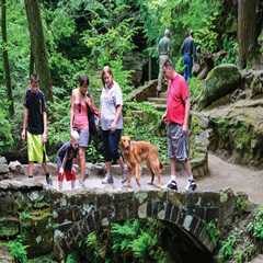 A Comprehensive Guide to the Most Visited Exhibit in Northeast Ohio