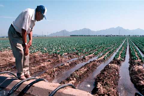 Gardening in Pinal County, Arizona: Tips from a Local Expert