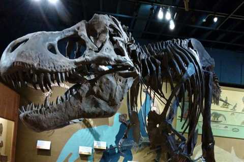 Navigating Ticket Purchases for Multiple Exhibits in Northeast Ohio