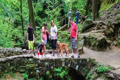 A Comprehensive Guide to the Most Visited Exhibit in Northeast Ohio