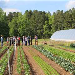 Exploring Organic Farms and Farmers in Waxhaw, North Carolina