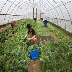 Exploring Cooperatives and Farmers Markets in Waxhaw, North Carolina: A Guide to Local Agriculture