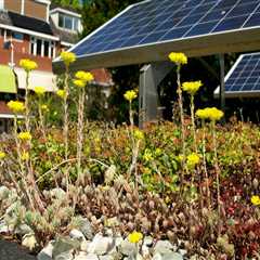 Harnessing Solar Power for Sustainable Garden Practices
