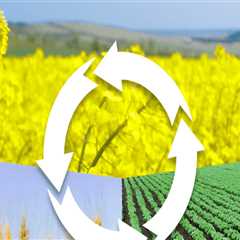 The Role of Crop Rotation in Sustainable Gardening: Preventing Soil Erosion