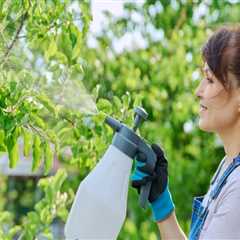 Exploring Sustainable Alternatives to Chemical Pesticides in Your Garden