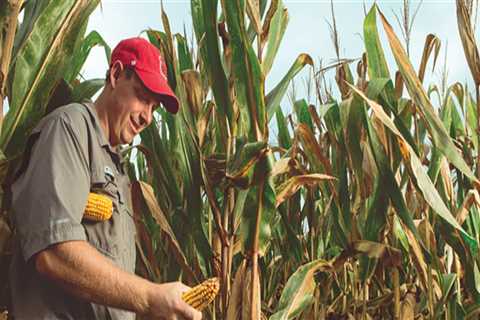 Understanding the Challenges of Farming in Waxhaw, North Carolina