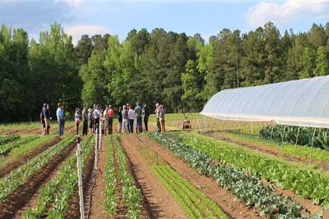 Exploring Organic Farms and Farmers in Waxhaw, North Carolina