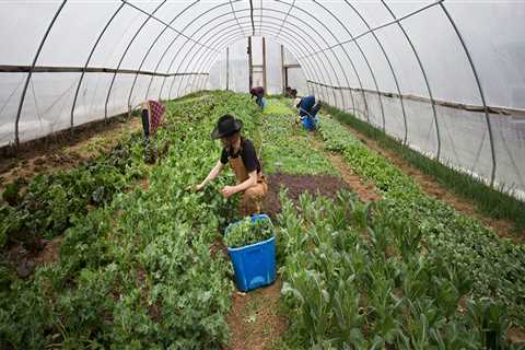 Exploring Cooperatives and Farmers Markets in Waxhaw, North Carolina: A Guide to Local Agriculture