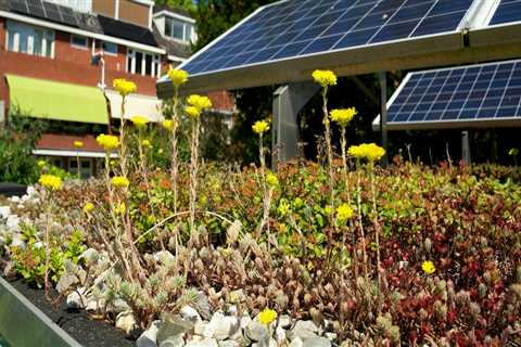 Harnessing Solar Power for Sustainable Garden Practices